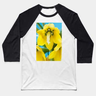 Fritillaria imperialis  &#39;Maxima Lutea&#39;  AGM  Crown imperial Baseball T-Shirt